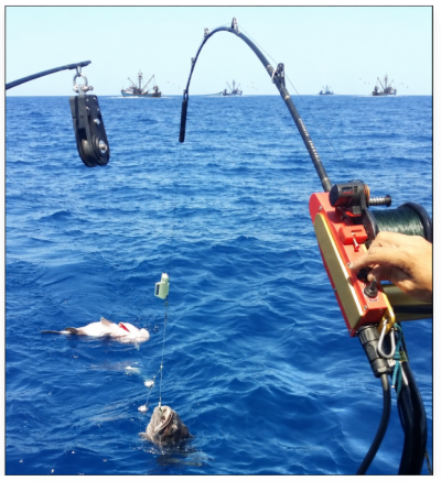 miniatura